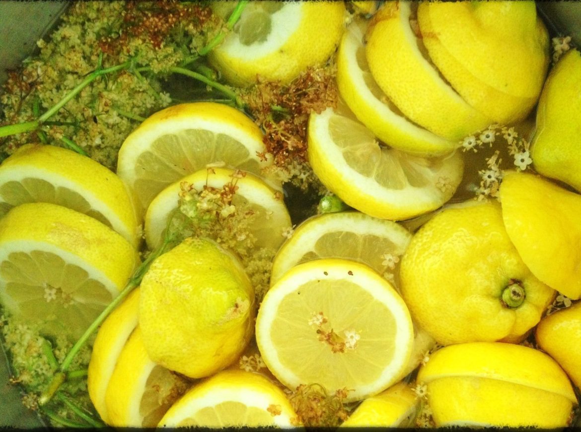 fläder, citron, nowaste, marmelad, recept