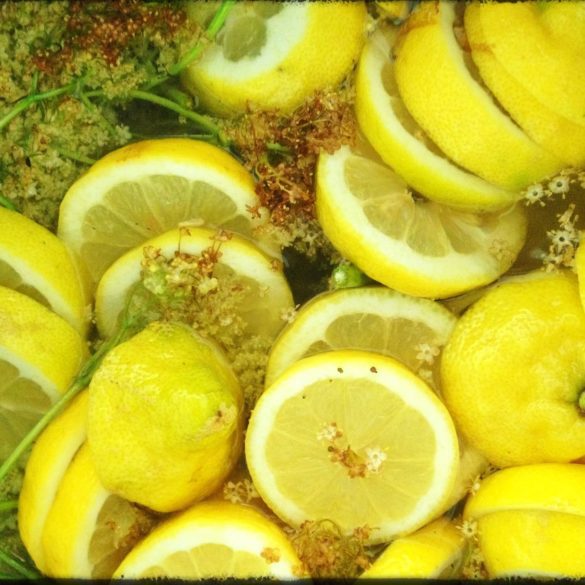 fläder, citron, nowaste, marmelad, recept